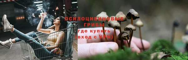 трава Горнозаводск