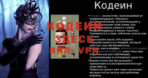 хмурый Горно-Алтайск