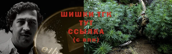 СК Горняк