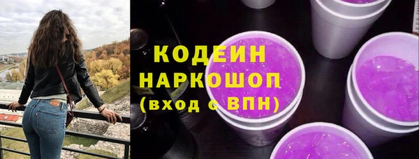 СК Горняк