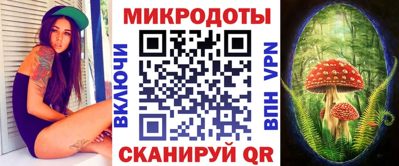 Галлюциногенные грибы Cubensis  Купить закладки  Канск 