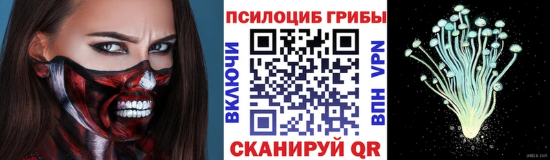Псилоцибиновые грибы GOLDEN TEACHER Канск